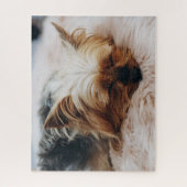 Kutest Baby Animals | Yorkshire Terrier Legpuzzel (Verticaal)