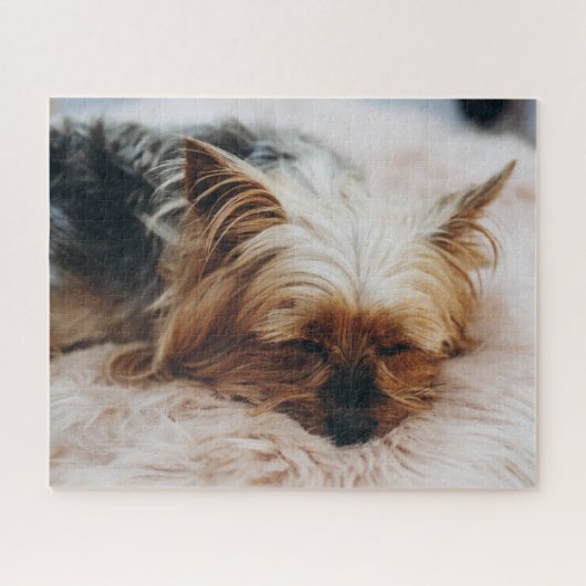 Kutest Baby Animals | Yorkshire Terrier Legpuzzel (Horizontaal)