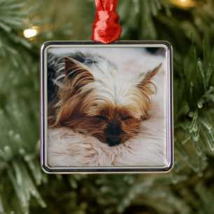 Kutest Baby Animals Yorkshire Terrier Metalen Ornament
