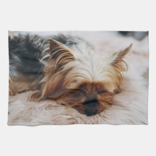 Kutest Baby Animals   Yorkshire Terrier Theedoek
