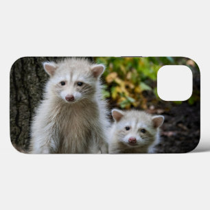 Kutest Baby Animals   Young Blonde Raccoons iPhone 13 Hoesje