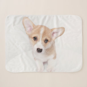 Kutest Baby Animals Young Corgi Puppy Sherpa Deken
