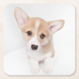 Kutest Baby Animals Young Corgi Puppy Vierkante Kartonnen Onderzetter