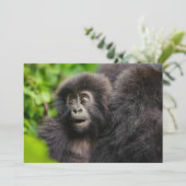 Kutest Baby Animals | Young Mountain Gorilla Bedankkaart (Staand voorkant)