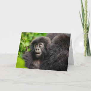 Kutest Baby Animals   Young Mountain Gorilla Kaart