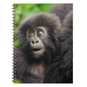 Kutest Baby Animals Young Mountain Gorilla Notitieboek