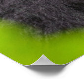 Kutest Baby Animals | Young Mountain Gorilla Poster (Hoek)