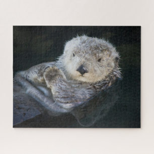 Kutest Baby Animals Zee Otter Floating Legpuzzel