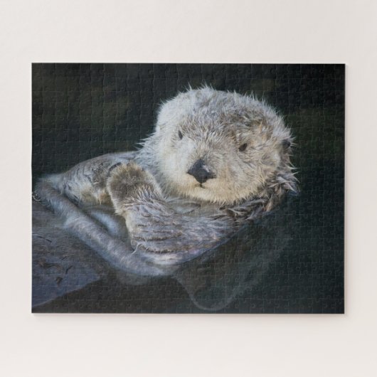 Kutest Baby Animals | Zee Otter Floating Legpuzzel (Horizontaal)