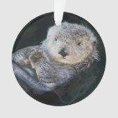Kutest Baby Animals | Zee Otter Floating Ornament (voorkant)