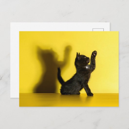 Kutest Baby Animals | Zwart kattenspel Briefkaart (Voorkant / Achterkant)