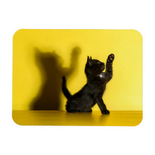 Kutest Baby Animals Zwart kattenspel Magneet