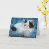 Kutest Baby Animals | Zwart-witten Kaart (Gele Bloem)