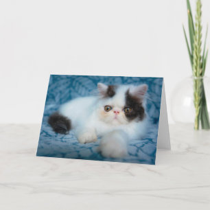 Kutest Baby Animals   Zwart-witten Kaart