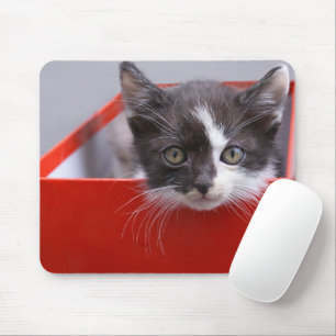 Kutest Baby Animals Zwart-witten Muismat