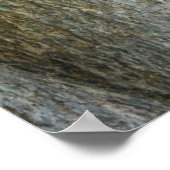 Kutest Baby Animals | Zwarte Beer Cub Poster (Hoek)