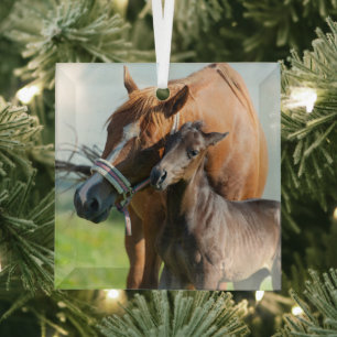 Kutest Baby Animals   Zwarte foal met mam Glas Ornament