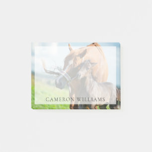 Kutest Baby Animals Zwarte foal met mam Post-it® Notes