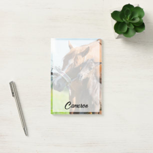 Kutest Baby Animals Zwarte foal met mam Post-it® Notes