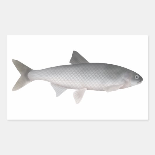 Kutum Rechthoekige Sticker (Voorkant)