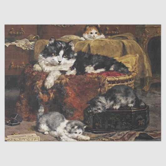  kutzwart en witte kat met Kittens Tissuepapier (Voorkant)