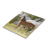 KUUTE HORSE FOAL EN MARE TEGELTJE (Zijkant)