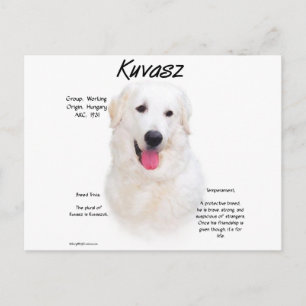 Kuvasz Geschiedenis Ontwerp Briefkaart
