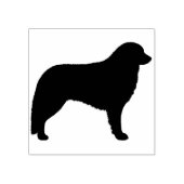 Kuvasz Hondenras Silhouet Rubberstempel (Afrduk)