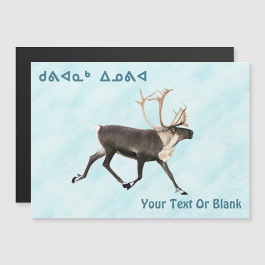 Kuvianak innovia - Cariou ( rendier ) op sneeuw (Voorkant / Achterkant)