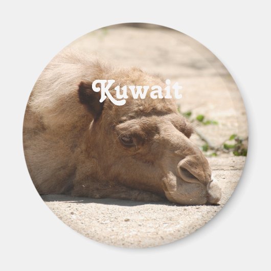Kuwait Camel Magneet (Voorkant)