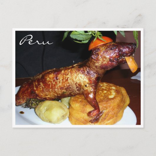 kuy peru briefkaart (Voorkant)