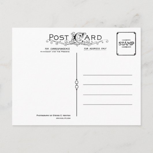 Kvinneakt en het briefkaart Pigeons (Achterkant)