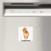 kwaadwillig magneet (Insitu (Vaatwasser))