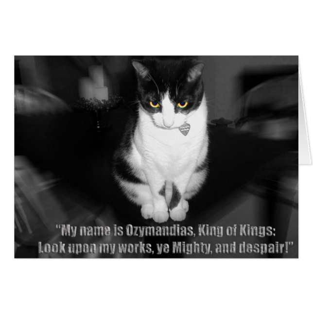 kwade oz (Voorkant Horizontaal)