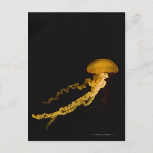 kwal 2 briefkaart (Voorkant)