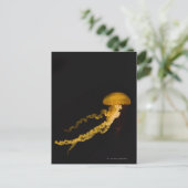 kwal 2 briefkaart (Staand voorkant)