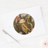  kwal Antiek Jelly Fish Sjabloon Ronde Sticker (Envelop)