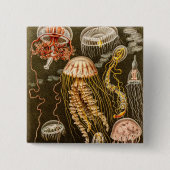 kwal Antiek Jelly Fish Sjabloon Vierkante Button 5,1 Cm (Voorkant)