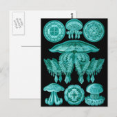 kwal briefkaart (Voorkant / Achterkant)