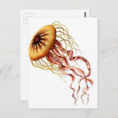 kwal briefkaart (Voorkant / Achterkant)