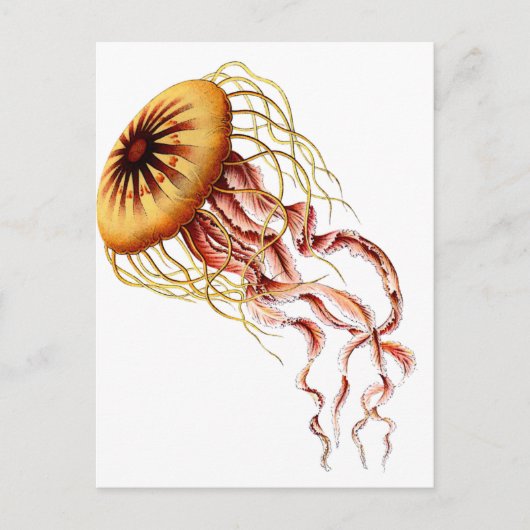 kwal briefkaart (Voorkant)