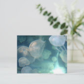 kwal briefkaart (Staand voorkant)