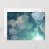 kwal briefkaart (Voorkant / Achterkant)