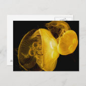 kwal briefkaart (Voorkant / Achterkant)