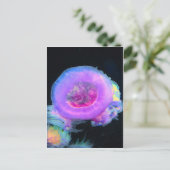 kwal briefkaart (Staand voorkant)