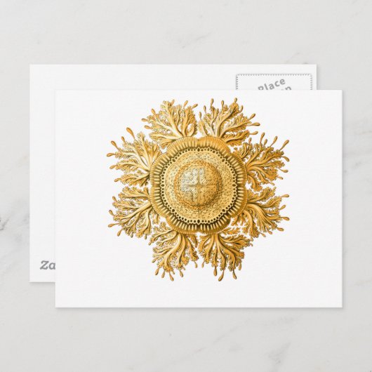 kwal briefkaart (Voorkant / Achterkant)