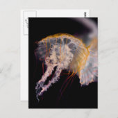 kwal briefkaart (Voorkant / Achterkant)