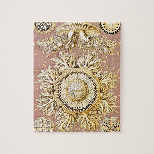 Kwal, Discomedusae door Ernst Haeckel Legpuzzel (Verticaal)