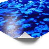 kwal foto afdruk (Hoek)