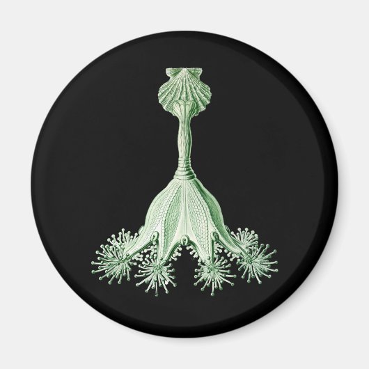 kwal magneet (Voorkant)